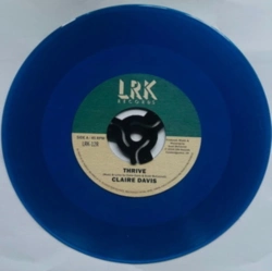 Capa do artigo Thrive/Playground - Vinil