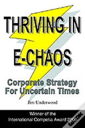 Capa do artigo Thriving In E-Chaos
