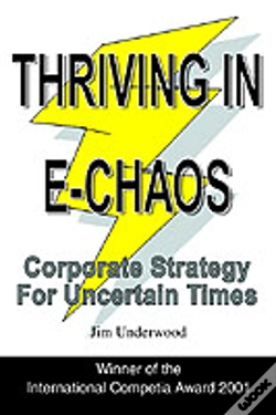 Capa do artigo Thriving In E-Chaos:Corporate Strategy For Uncertain Times