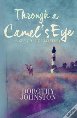 Capa do artigo Through A Camel'S Eye