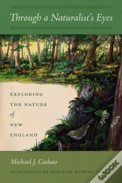 Capa do artigo Through A Naturalist