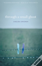 Capa do artigo Through A Small Ghost