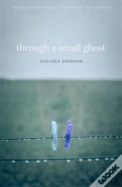 Capa do artigo Through A Small Ghost