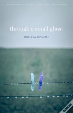 Capa do artigo Through A Small Ghost