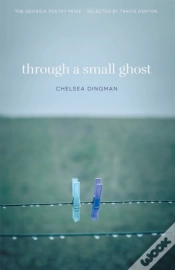 Capa do artigo Through A Small Ghost