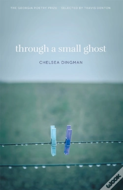 Capa do artigo Through A Small Ghost