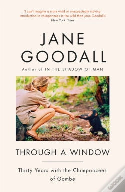 Capa do artigo Through A Window