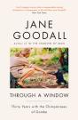 Through A Window - Preview