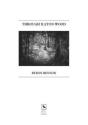Through Ilston Wood - Preview