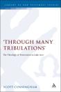 Through Many Tribulations - Preview