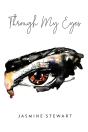 Through My Eyes - Preview