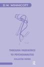 Through Paediatrics To Psychoanalysis - Preview