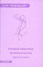 Through Paediatrics To Psychoanalysis - Preview
