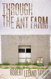 Capa do artigo Through The Ant Farm