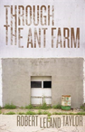 Through The Ant Farm