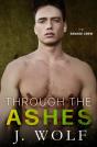 Through The Ashes - Preview
