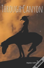 Capa do artigo Through The Canyon