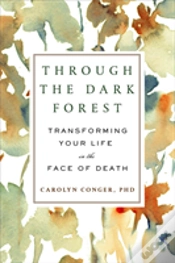 Capa do artigo Through The Dark Forest