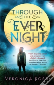 Capa do artigo Through The Ever Night