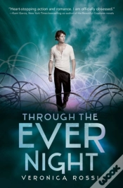 Capa do artigo Through The Ever Night