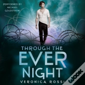 Capa do artigo Through The Ever Night