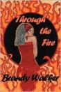 Through The Fire - Preview