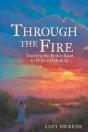 Through The Fire - Preview
