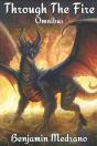 Through The Fire - Preview