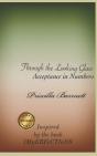Through The Looking Glass - Preview