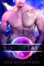 Through The Mirrorball - Preview