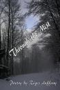 Through The Mist - Preview