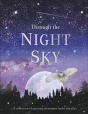 Through The Night Sky - Preview
