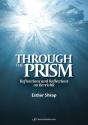 Through The Prism - Preview