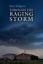 Through The Raging Storm - Preview
