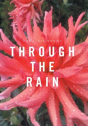 Through The Rain - Preview
