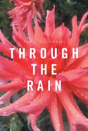 Through The Rain - Preview