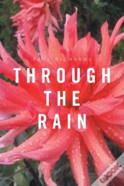 Capa do artigo Through The Rain