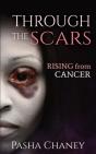Through The Scars - Preview