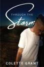 Through The Storm - Preview