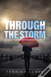 Capa do artigo Through The Storm: From Infertility To S