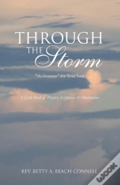 Capa do artigo Through The Storm