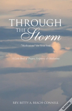Capa do artigo Through The Storm