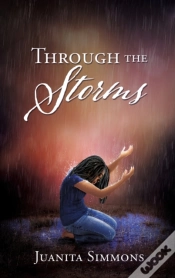 Capa do artigo Through The Storms