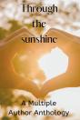 Through The Sunshine - Preview