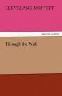 Through The Wall - Preview