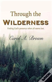 Capa do artigo Through The Wilderness