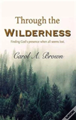 Capa do artigo Through The Wilderness