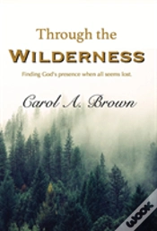 Capa do artigo Through The Wilderness