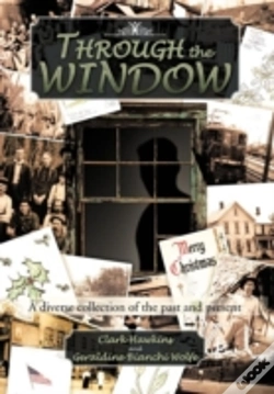 Capa do artigo Through The Window