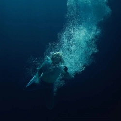 Capa do artigo Through Water - CD